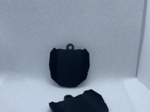 ODI Plate Keychain